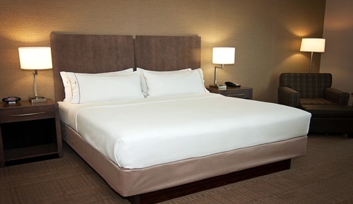 Standard Room, 1 King Bed, Mobility Accessible (Roll-In Shower)