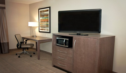 Suite, 1 King Bed with Sofa bed