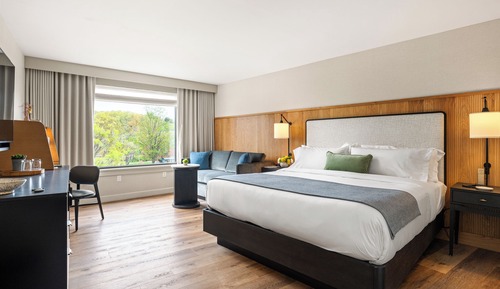 Deluxe Room, 1 King Bed, City View (Deluxe King)