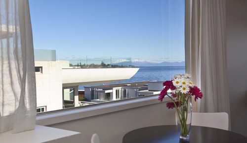 Studio, 1 Queen Bed, Lake View