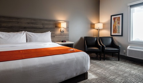 Standard Room, 1 King Bed, Non Smoking