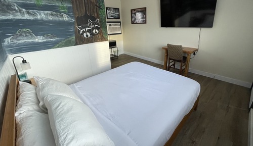 Standard Room, 1 Queen Bed, Non Smoking, Mountain View