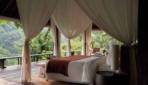 Rainforest Pool Bale