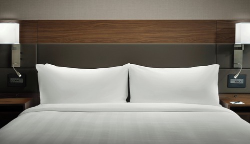 Room, 1 King Bed with Sofa bed