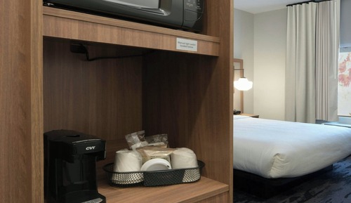 Room, 1 King Bed with Sofa bed, Hearing Accessible (Roll-in Shower)