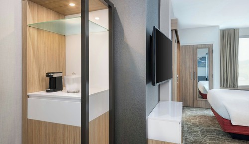Suite, 1 King Bed with Sofa bed