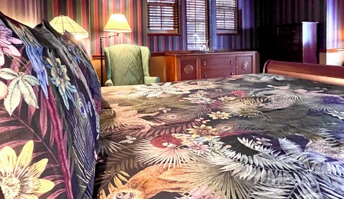 Premium Double Room