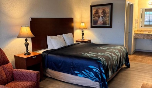 Room, 1 King Bed, Non Smoking
