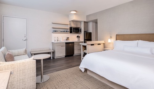 Studio, 1 King Bed with Sofa bed (Mobility Accessible, Tub)