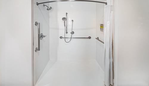 Room, 1 King Bed, Roll-in Shower (Roll-In Shower)