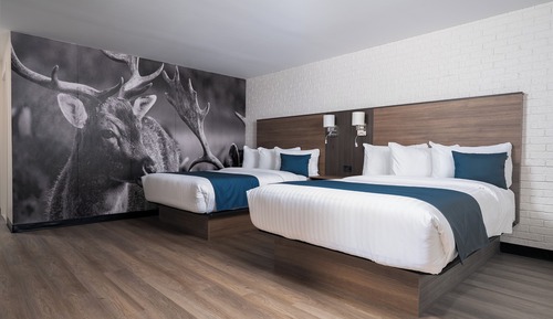 Superior Room 2 Queen Beds