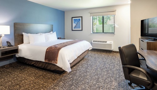 Comfort Room, 1 Queen Bed