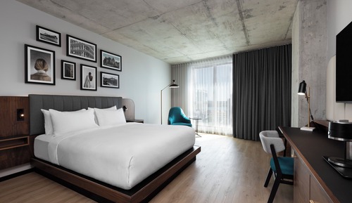 Room, 1 King Bed, City View (Shower)