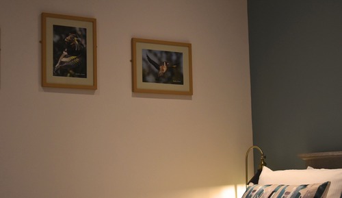 Double Room, Ensuite (Rowan)