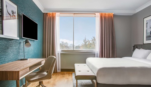 Superior Room (Airport View)