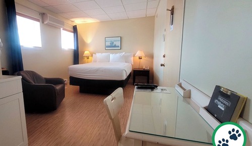 Comfort Room, 1 Queen Bed