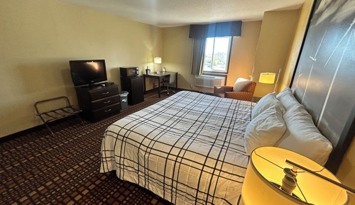 Room, 1 King Bed, Non Smoking