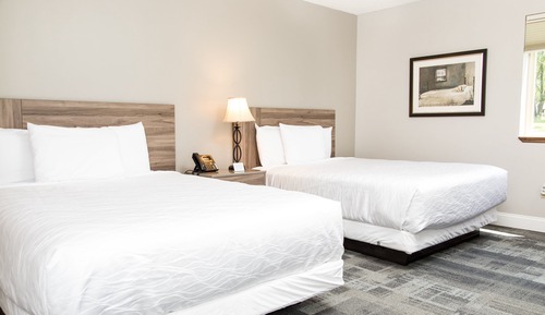 Basic Double Room, 2 Queen Beds