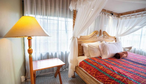 Suite Tent with Forest View