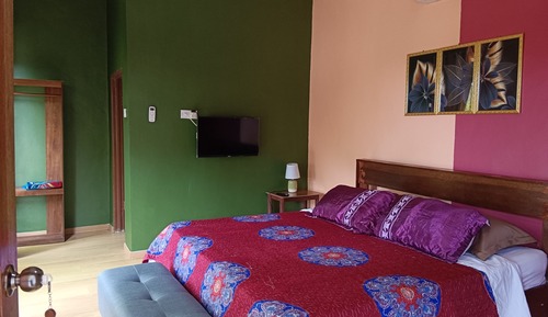 Basic Room, 1 King Bed, Garden View