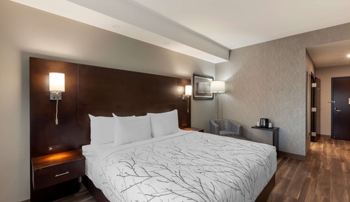 Standard Room, 1 King Bed, Accessible, Refrigerator & Microwave