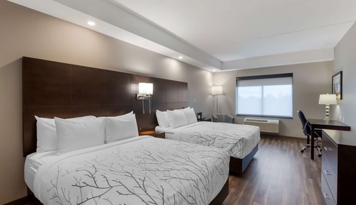 Standard Room, 2 Queen Beds, Accessible, Refrigerator & Microwave