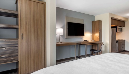 Suite, 1 King Bed, Non Smoking (Efficiency)