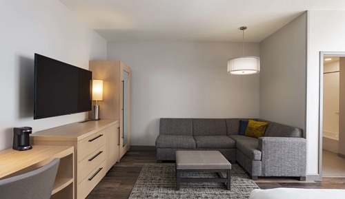 Premium Room, 1 King Bed with Sofa bed, Accessible (Shower)
