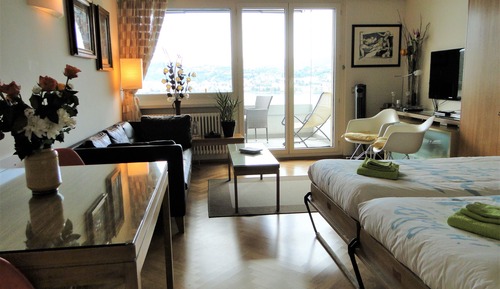 Apartment, 1 Bedroom, Terrace, Mountain View