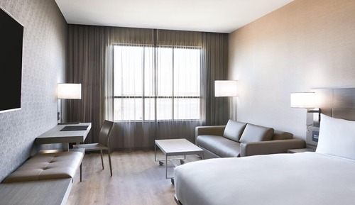 Room, 1 King Bed with Sofa bed (Mobility Accessible, Tub)