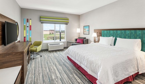 Standard Room, 1 King Bed, Accessible, Non Smoking (3x3 Shower)