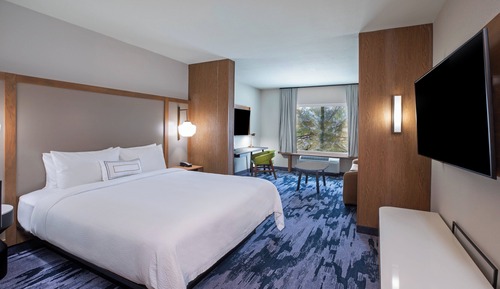 Suite, 1 King Bed with Sofa bed