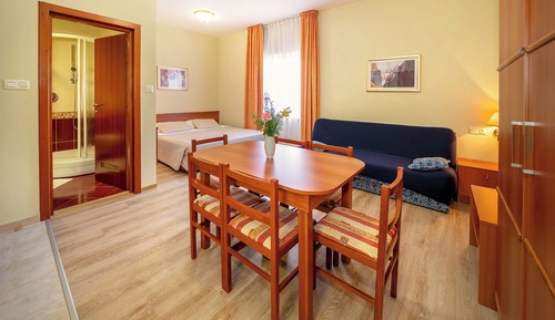 Apartment, Mountain View
