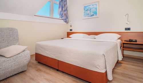 Basic Double or Twin Room, Mountain View