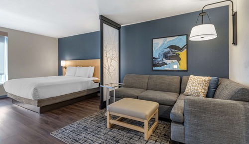 Room, 1 King Bed with Sofa bed, Roll-in Shower