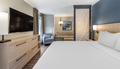 Suite, 1 King Bed with Sofa bed