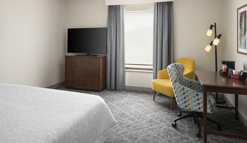 Room, 1 King Bed, Accessible, Non Smoking (Roll-In Shower)