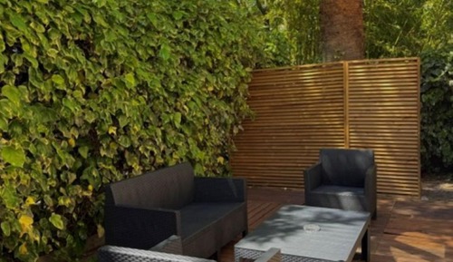 Room, Terrace