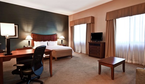 Studio, One King Bed