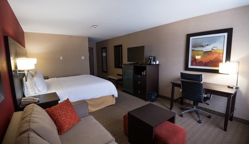 Standard Room, 1 King Bed with Sofa bed