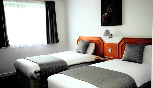 Twin Room, 2 Twin Beds