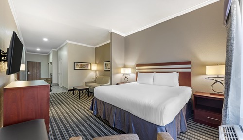 Suite, 1 King Bed, Non Smoking, Refrigerator & Microwave (with Sofabed)