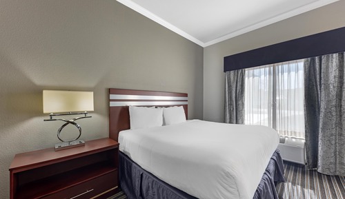 Standard Room, 1 King Bed, Accessible, Refrigerator & Microwave