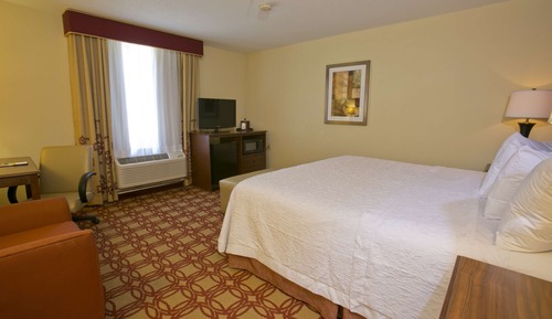 Room, 1 King Bed, Accessible (Hearing)