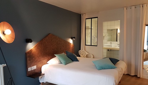Superior Room, 1 King Bed, Non Smoking (Shower Only)