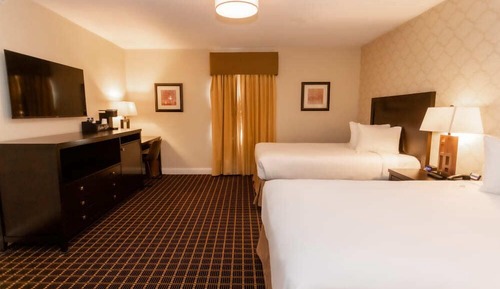 Standard Double Room, 2 Double Beds