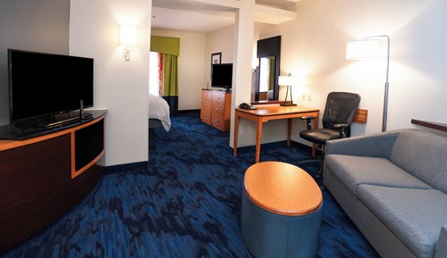 Suite, 1 King Bed with Sofa bed