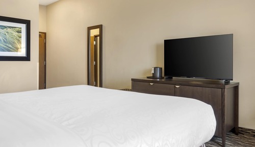 Standard Room, 1 King Bed, Accessible, Refrigerator