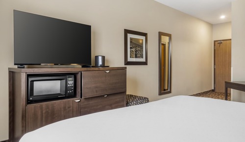 Standard Room, 1 King Bed, Non Smoking, Refrigerator & Microwave