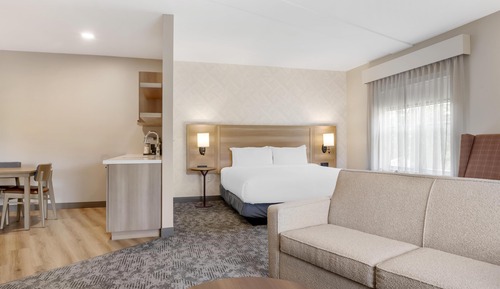 Suite, 1 King Bed, Non Smoking, Refrigerator & Microwave (Shower Only;with Sofabed)